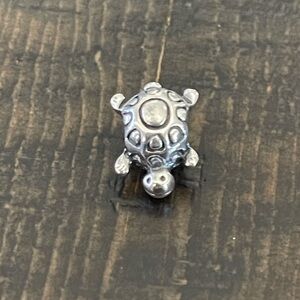 Pandora Turtle Charm